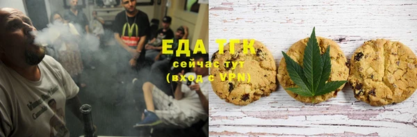 ПСИЛОЦИБИНОВЫЕ ГРИБЫ Няндома