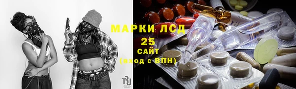 ПСИЛОЦИБИНОВЫЕ ГРИБЫ Няндома