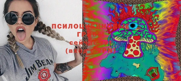 ПСИЛОЦИБИНОВЫЕ ГРИБЫ Няндома