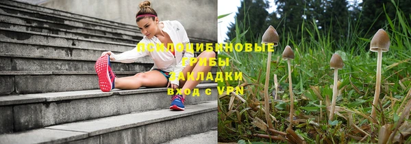 МДПВ Осташков