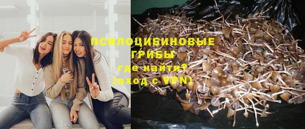 MDMA Premium VHQ Алексеевка