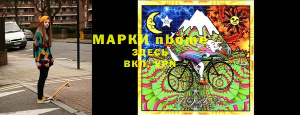 ПСИЛОЦИБИНОВЫЕ ГРИБЫ Няндома