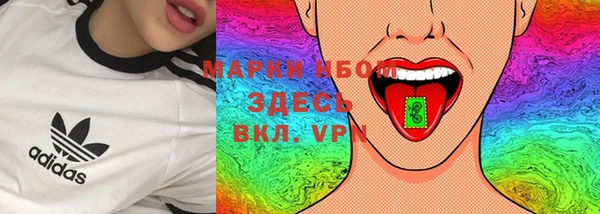 СК Новозыбков