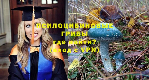 дмт Нязепетровск