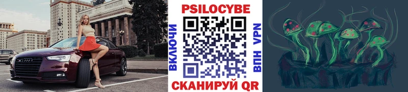 закладка  Кашин  Галлюциногенные грибы ЛСД 
