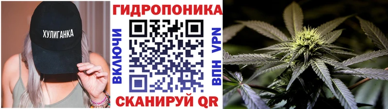 где найти наркотики  Кашин  Конопля SATIVA & INDICA 